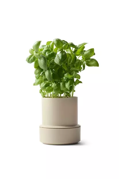 Billund yrttiruukku - Maustemyllyt ja morttelit - CG060400 - 1