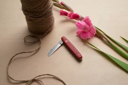 Victorinox puutarhaveitsi - Veitset - 3905081B1 - 2