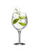 Gin & Tonic More 4 kpl - Lasit  - 6313001 - 2