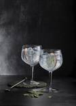 Gin & Tonic Mixology 4 kpl - Lasit - 12464-02 - 3