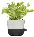 Yrttiruukku Green 2-osainen - Kodin piensisustus - 5016663 - 1