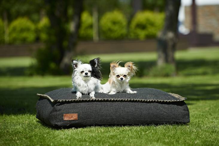 DOGit Cobana, 80x60x15cm - Lahjaideat lemmikeille - 8579005 - 1