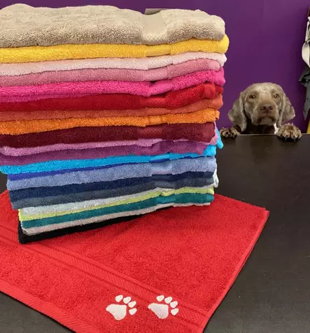 Tassupyyhe 50x70 cm - Lahjaideat lemmikeille - 730BT - 2